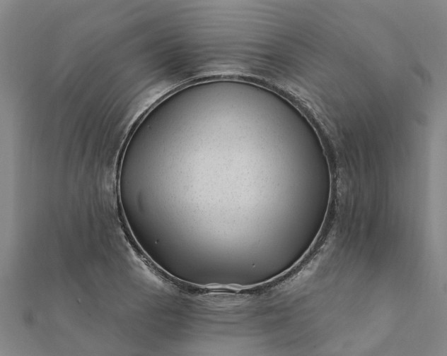 X0000112081129200908181236