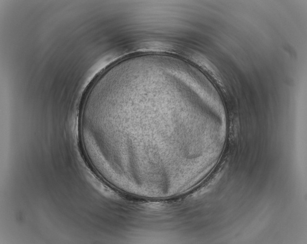 X0000112081130200908181236