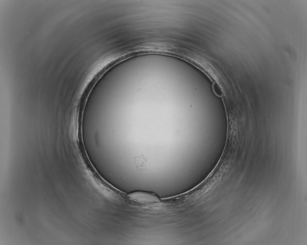 X0000112081131200908181236