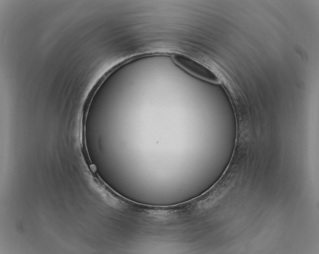 X0000112081132200908181236