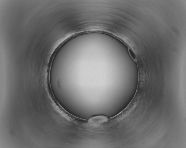 X0000112081134200908181236