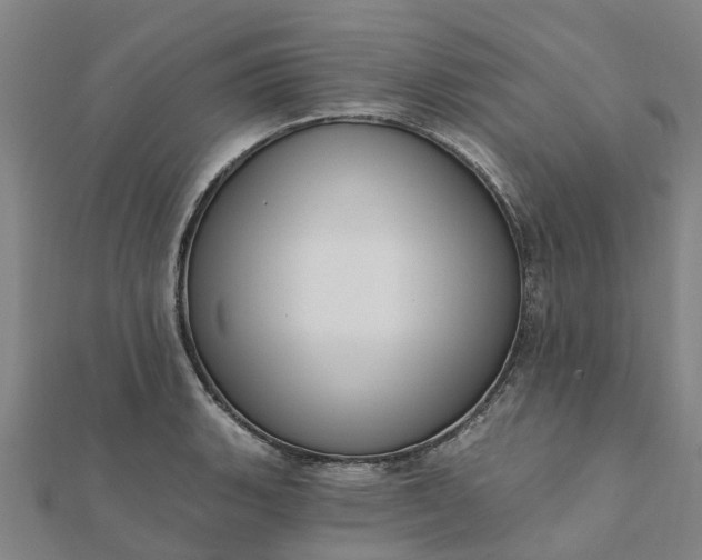 X0000112081135200908181236