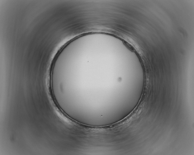 X0000112081136200908181236