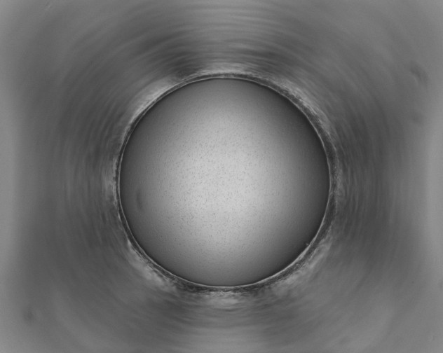 X0000112081137200908181236