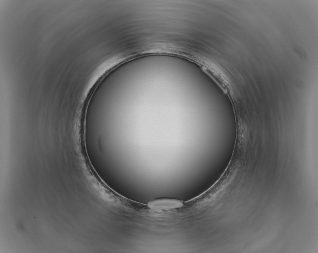 X0000112081138200908181236