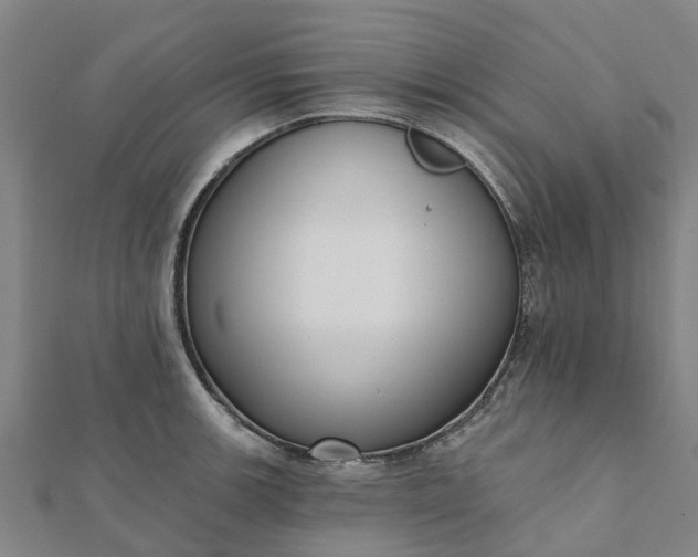 X0000112081139200908181236