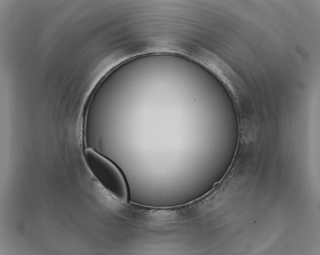 X0000112081140200908181236