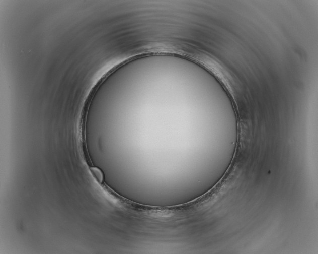 X0000112081141200908181236