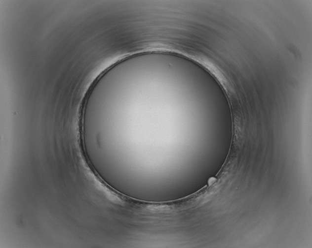 X0000112081142200908181236