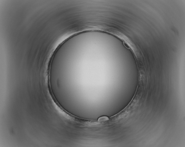 X0000112081143200908181236