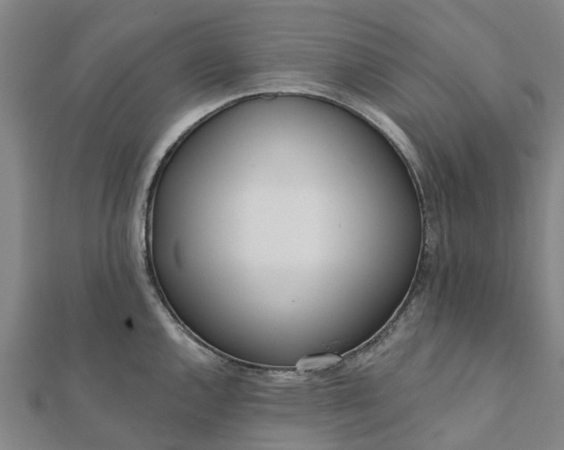 X0000112081144200908181236