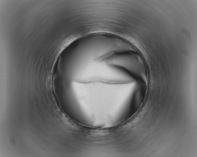 X0000112081145200908181236