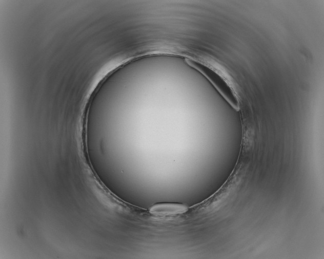 X0000112081146200908181236