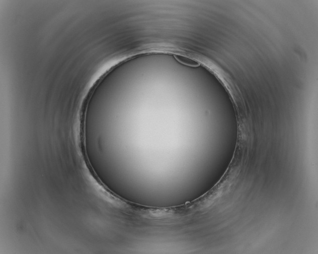 X0000112081147200908181236