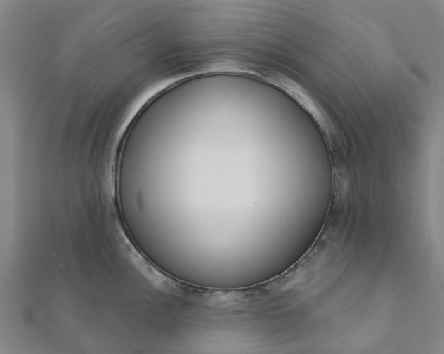 X0000112081148200908181236