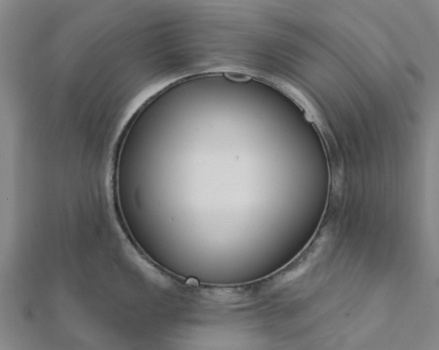 X0000112081149200908181236