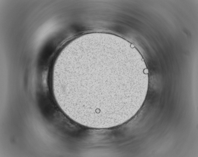 X0000112081150200908181236