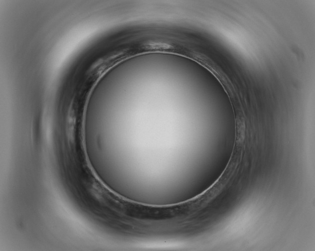 X0000112081151200908181236