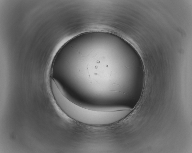 X0000112081152200908181236