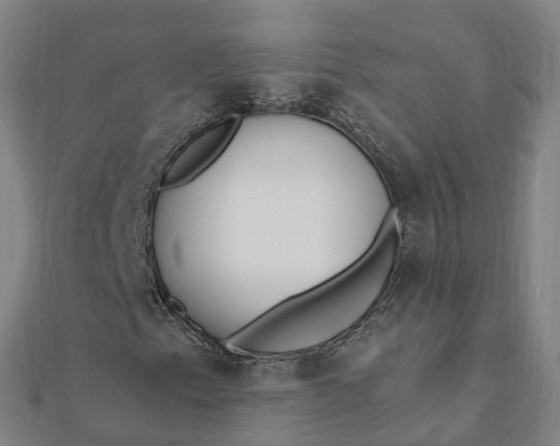 X0000112081153200908181236