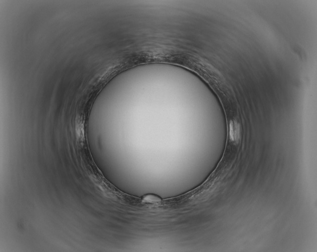 X0000112081155200908181236