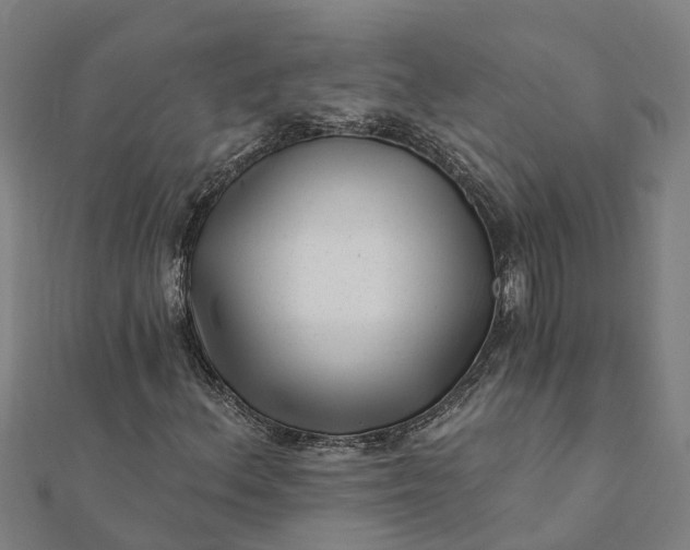 X0000112081156200908181236