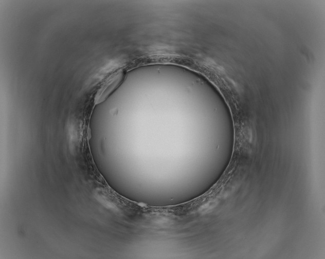 X0000112081157200908181235