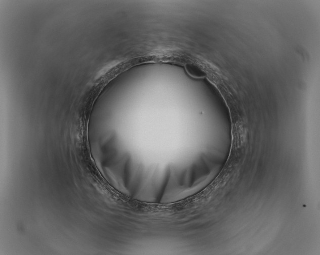 X0000112081158200908181235