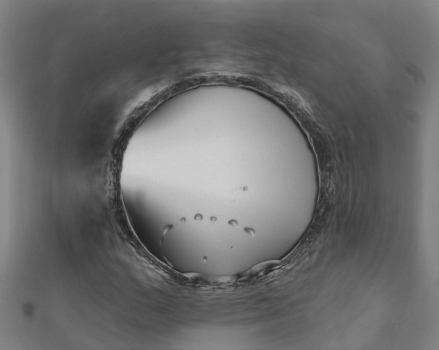 X0000112081159200908181235