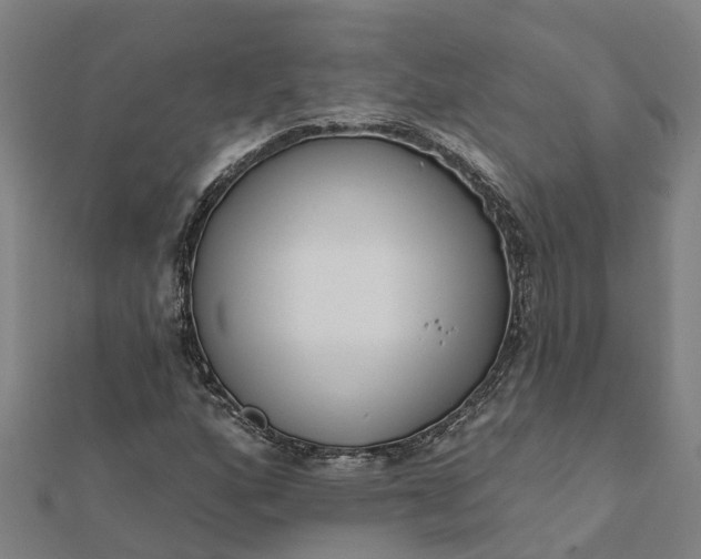 X0000112081160200908181235