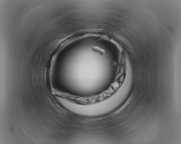 X0000112081161200908181235