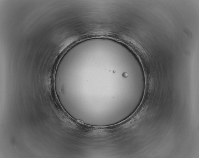 X0000112081162200908181235