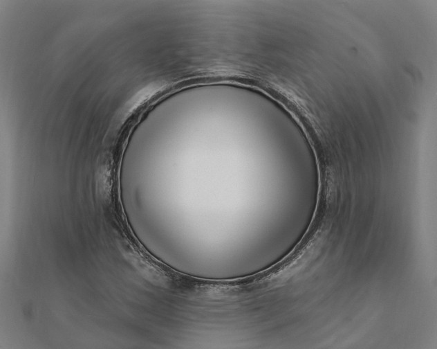 X0000112081163200908181235