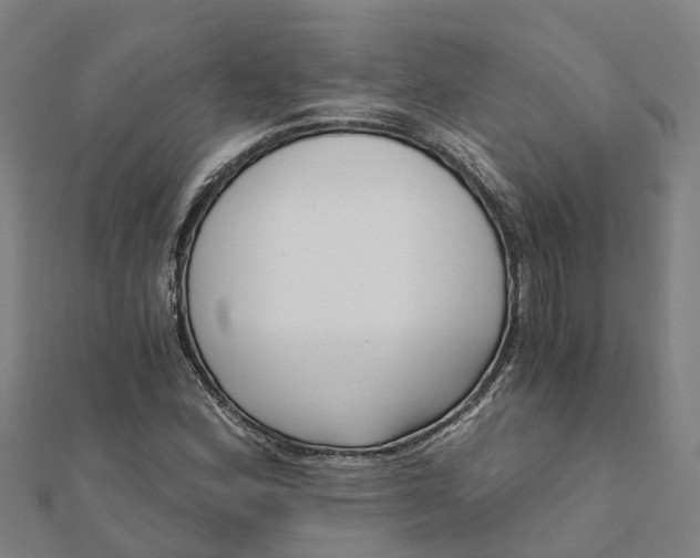 X0000112081164200908181235