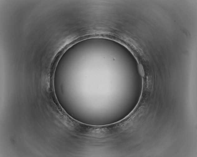 X0000112081165200908181235