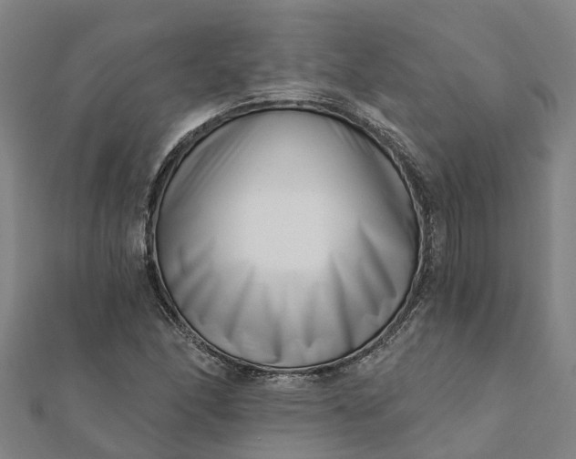 X0000112081166200908181235