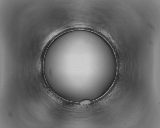 X0000112081167200908181235