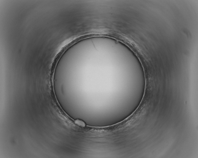 X0000112081168200908181235