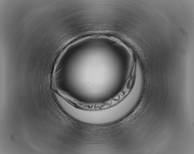 X0000112081169200908181235