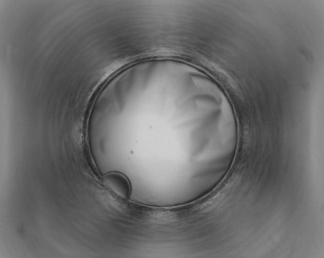 X0000112081170200908181235