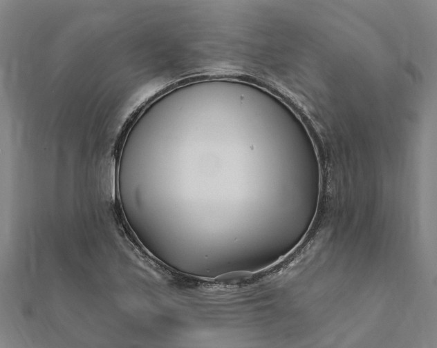 X0000112081171200908181235