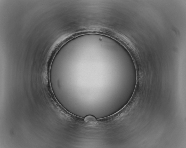 X0000112081172200908181235