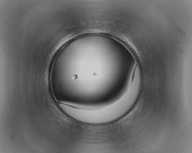 X0000112081173200908181235