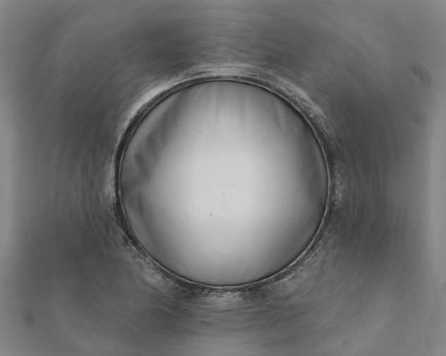 X0000112081174200908181235