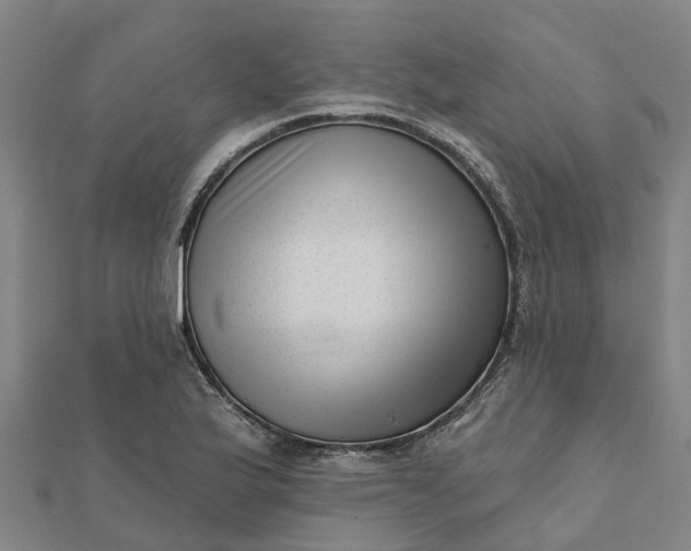 X0000112081175200908181235