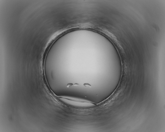 X0000112081176200908181235