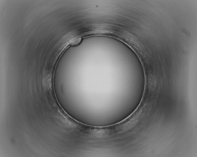 X0000112081177200908181235