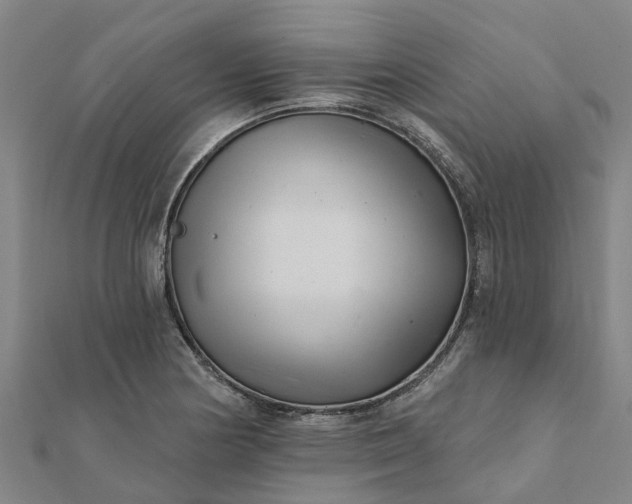 X0000112081178200908181235