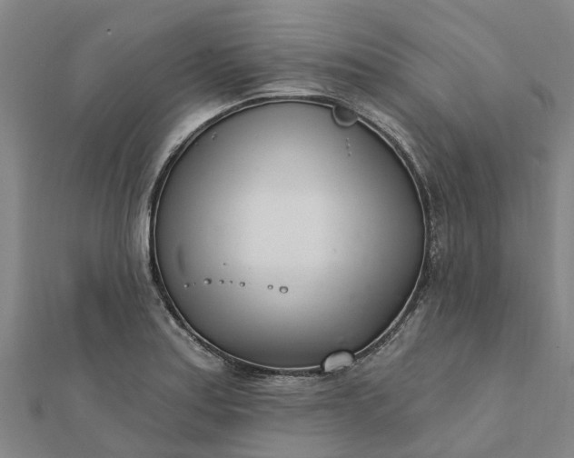 X0000112081179200908181235