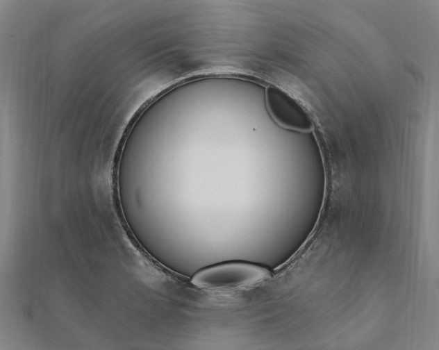 X0000112081181200908181235